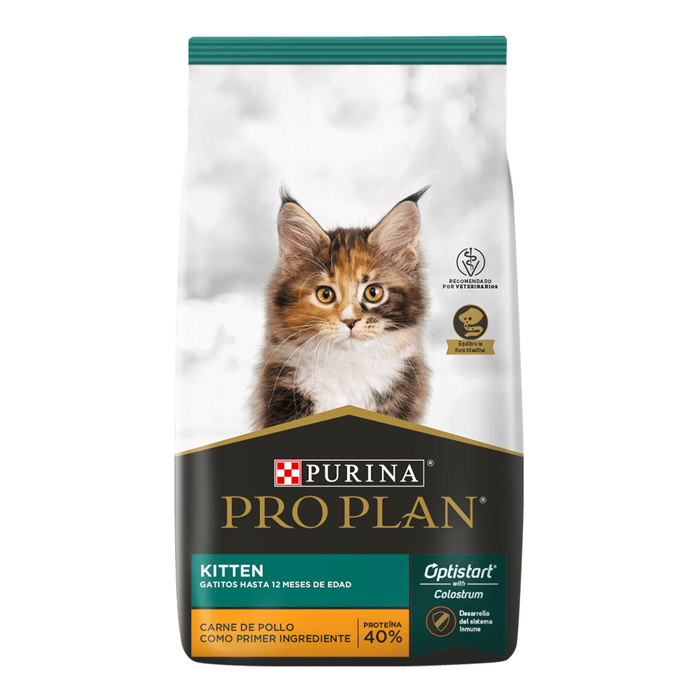 Pro Plan Kitten