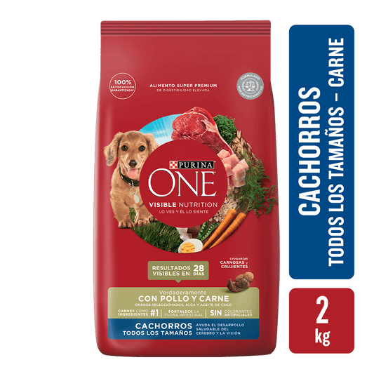 ONE Cachorro