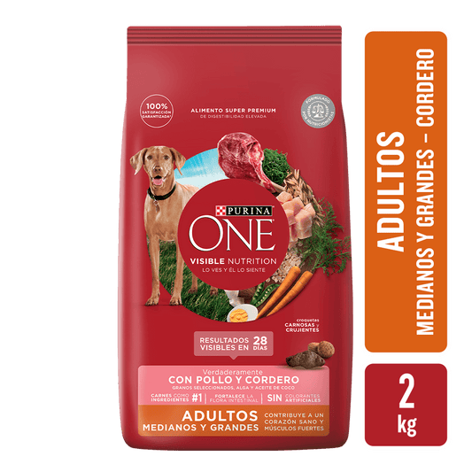 ONE Adulto Med Grande Cordero